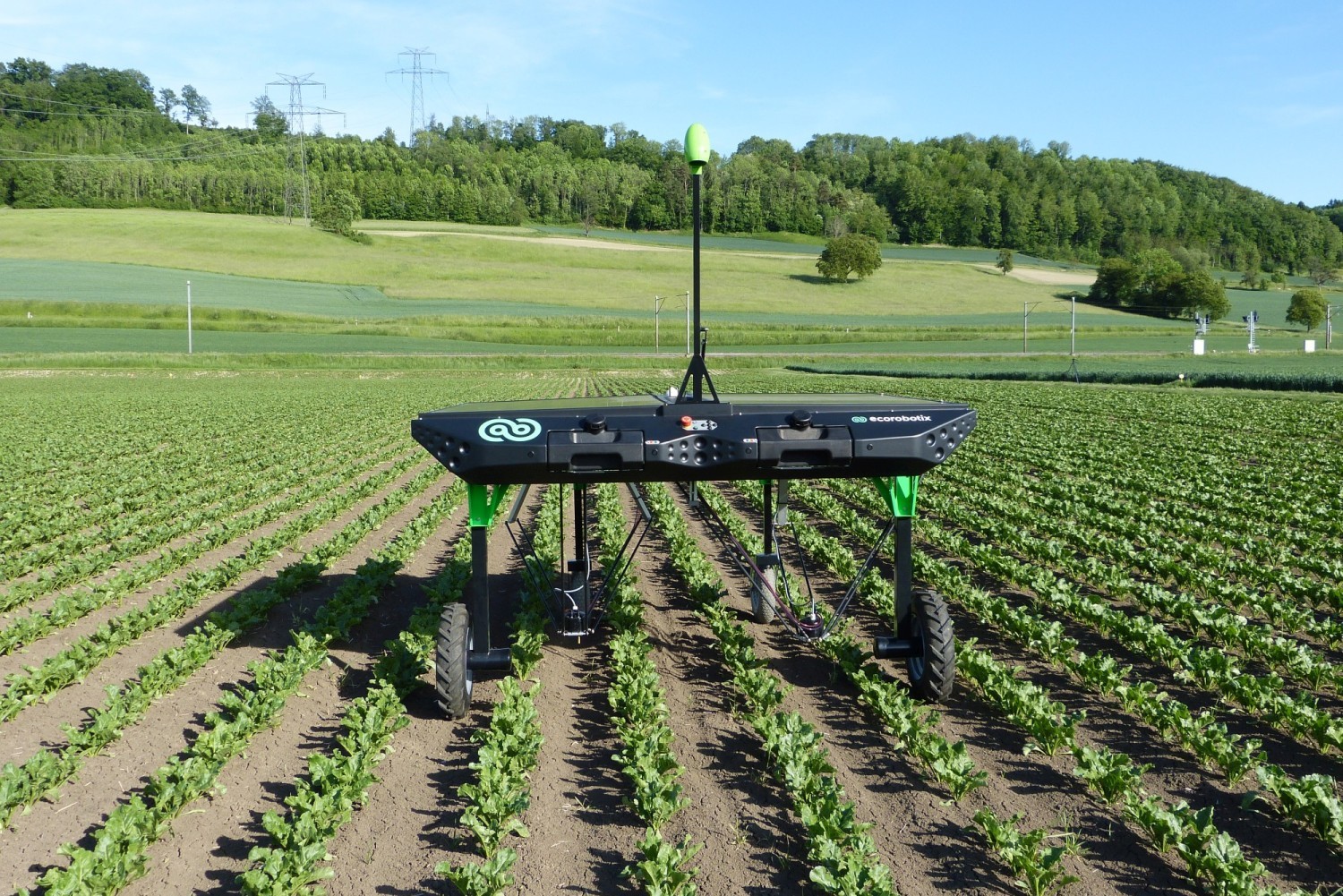 ecoRobotix plans spraying robot - Future Farming