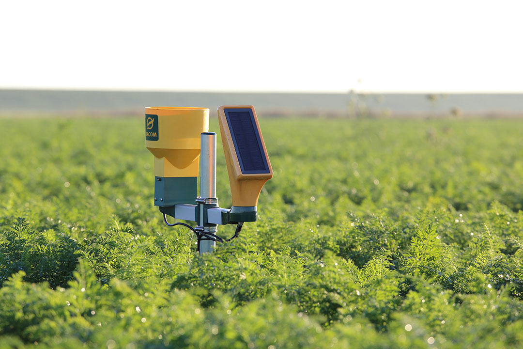artificial intelligence in agriculture