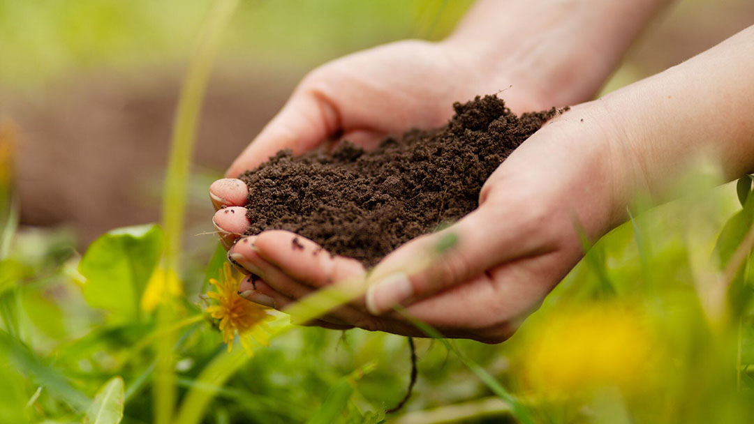 Sustainable practices. Плодородие почвы. Почва в руках. Удобрения из отходов. Устойчивое земледелие
