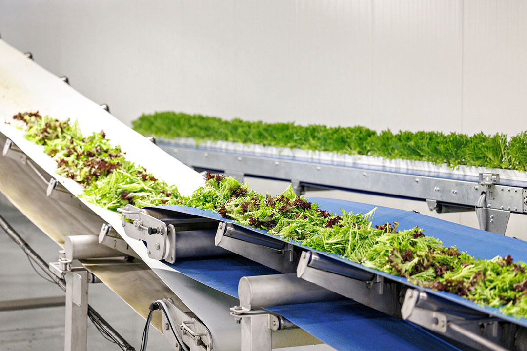AppHarvest CEO “Our hightech indoor farms are giant robots” Future