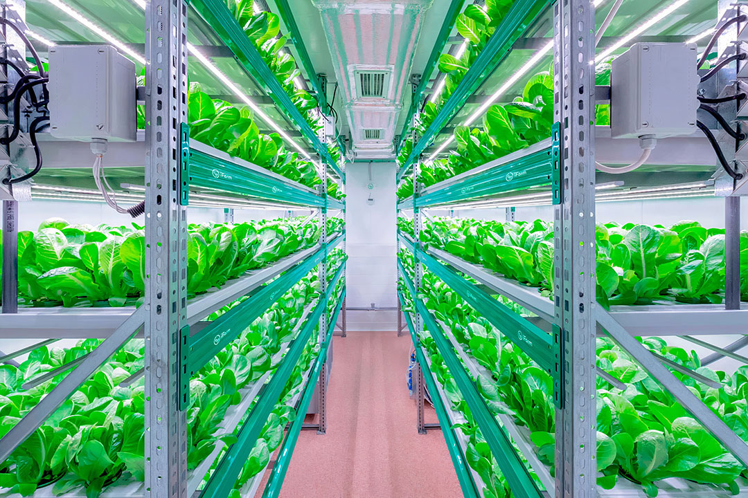 New technologies for cultivation in closed agricultural systems