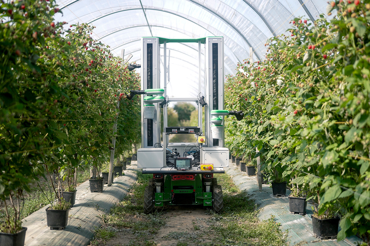 Fieldwork Robotics signs collaboration agreement with Burro