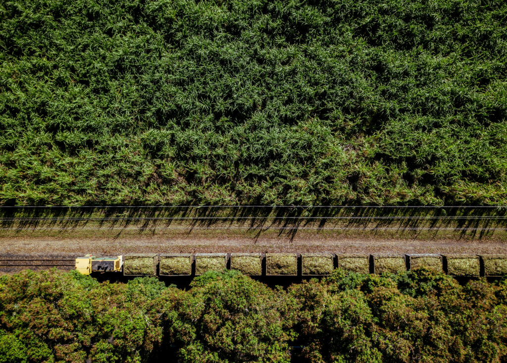 Australian AI irrigation system saves resources and optimises crop management